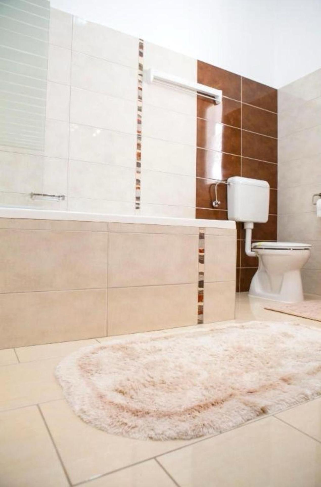 Apartament Victoria Тімішоара Екстер'єр фото