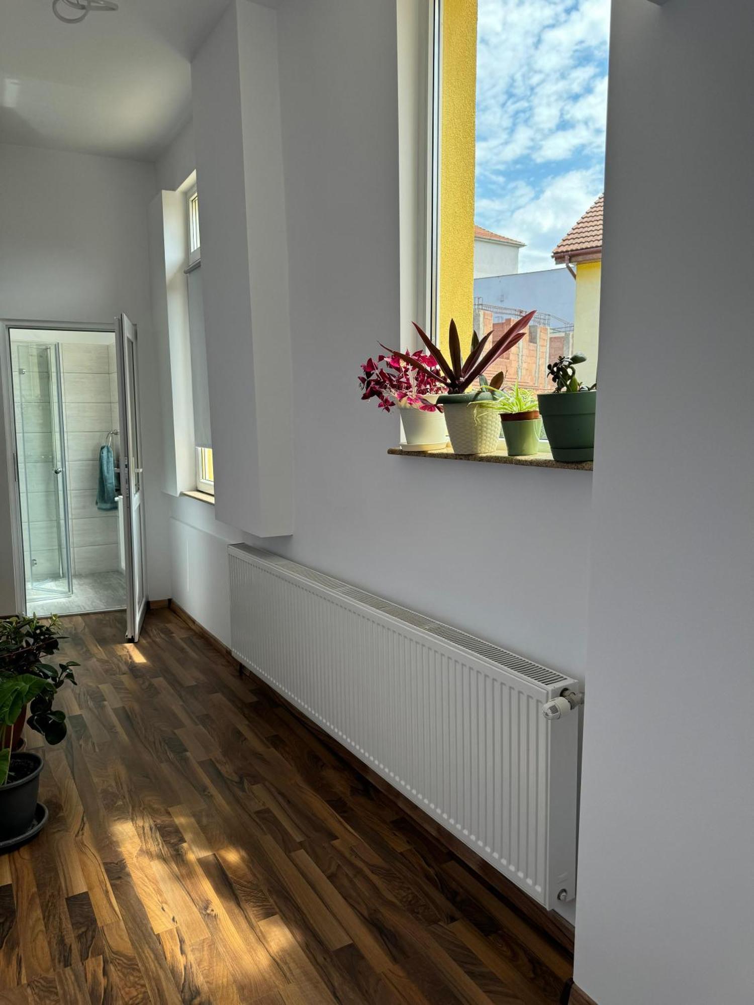 Apartament Victoria Тімішоара Екстер'єр фото