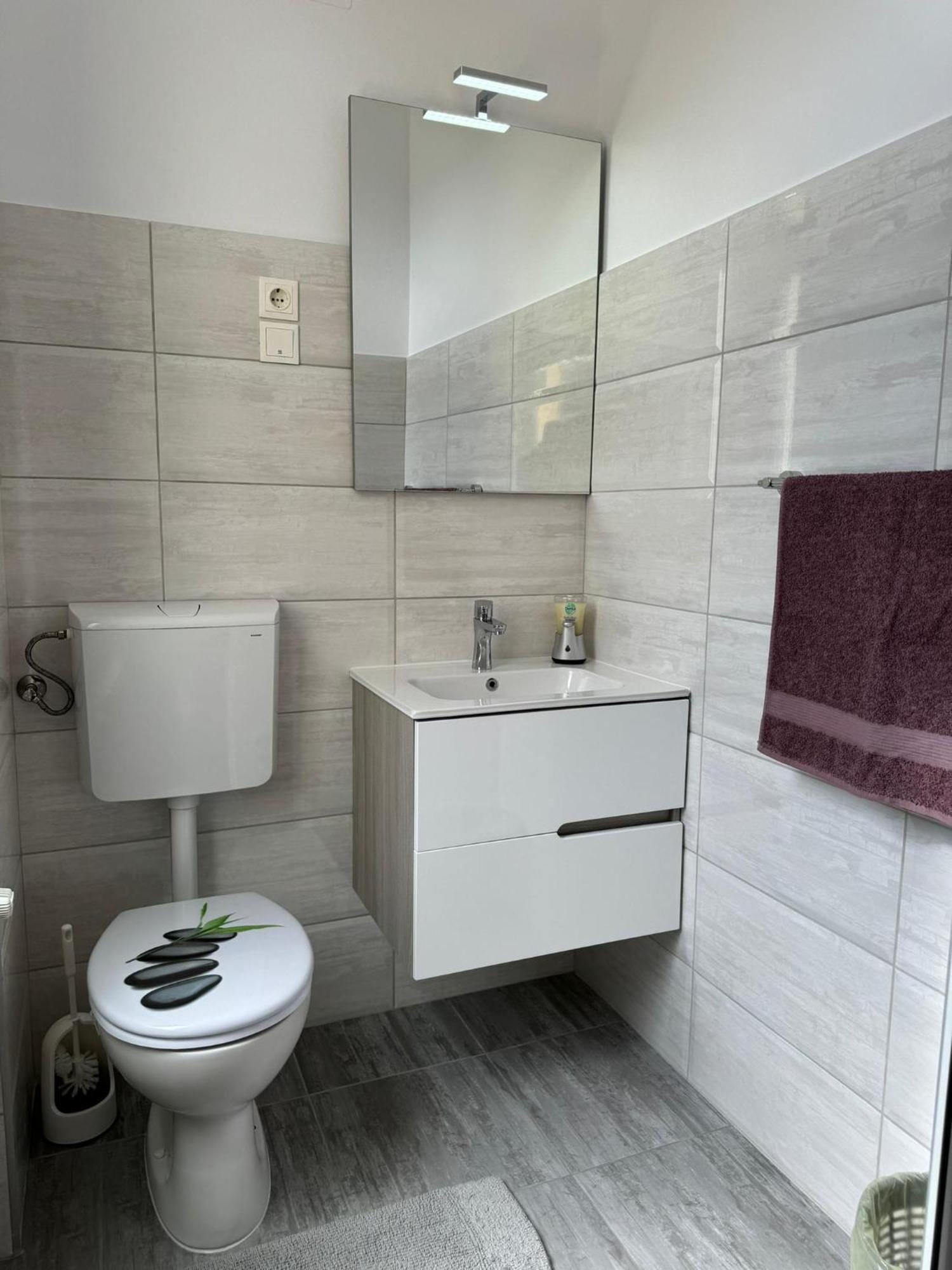 Apartament Victoria Тімішоара Екстер'єр фото