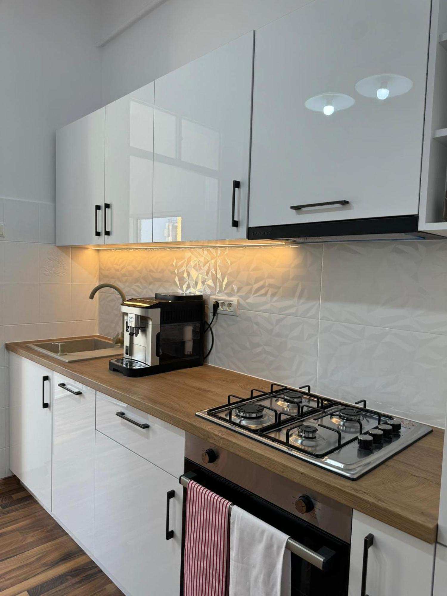 Apartament Victoria Тімішоара Екстер'єр фото