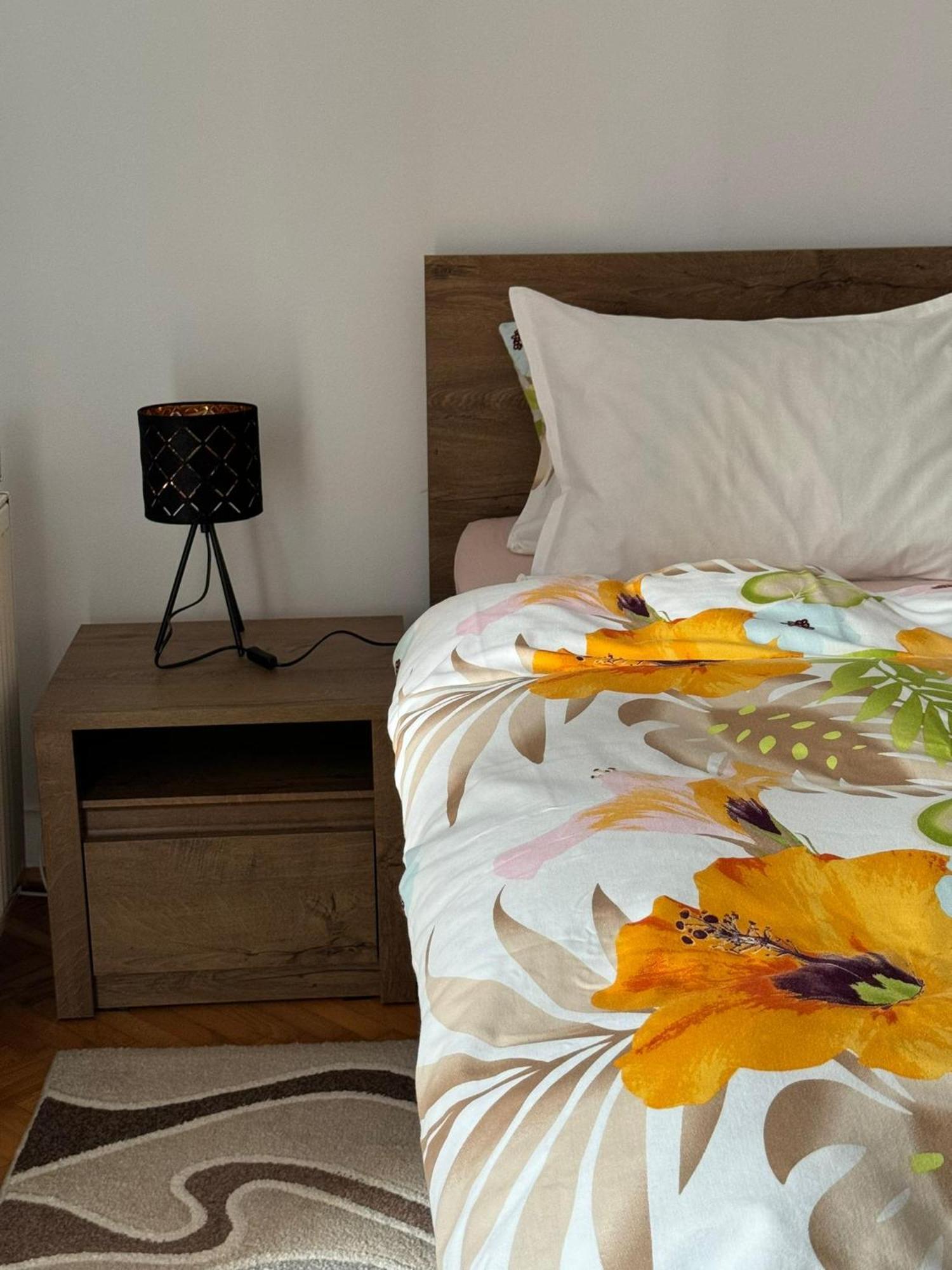 Apartament Victoria Тімішоара Екстер'єр фото