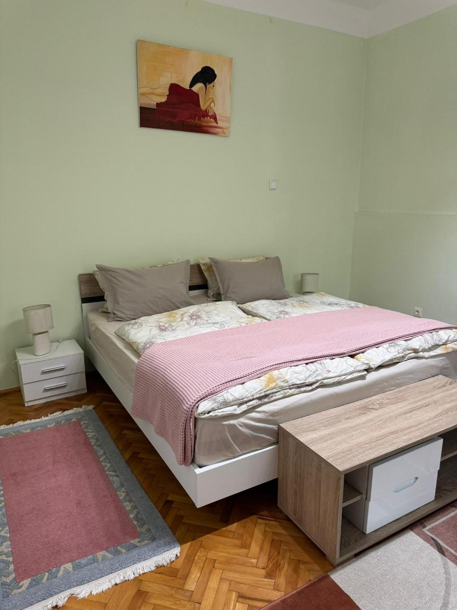 Apartament Victoria Тімішоара Екстер'єр фото