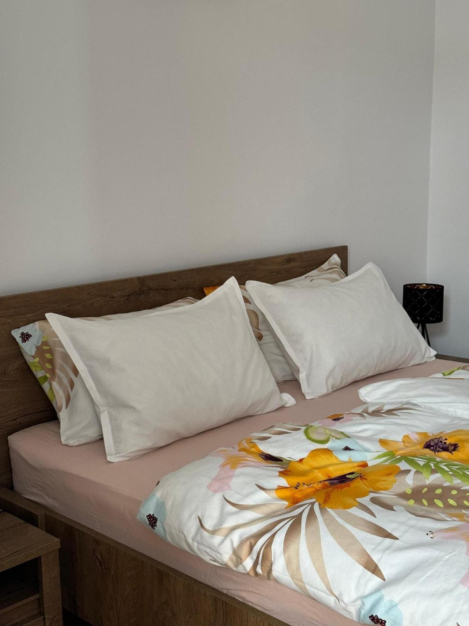 Apartament Victoria Тімішоара Екстер'єр фото