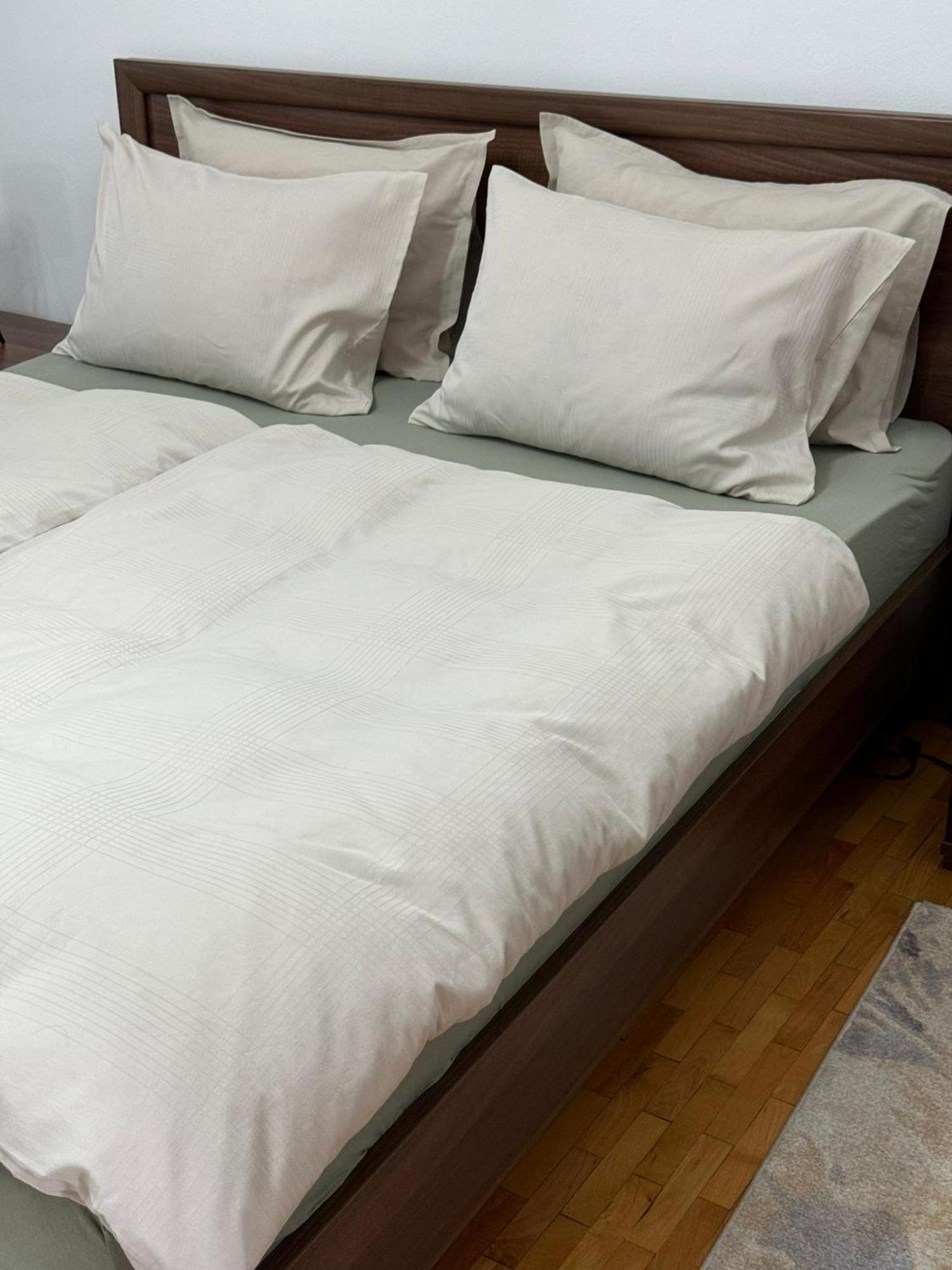 Apartament Victoria Тімішоара Екстер'єр фото